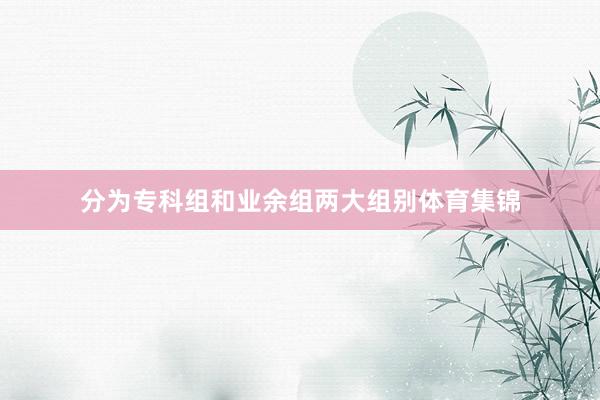 分为专科组和业余组两大组别体育集锦