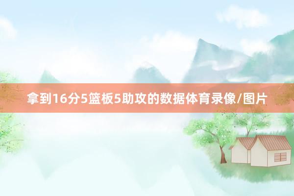 拿到16分5篮板5助攻的数据体育录像/图片