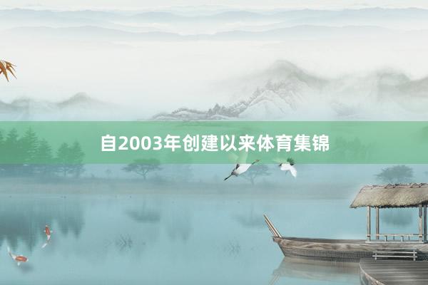 自2003年创建以来体育集锦