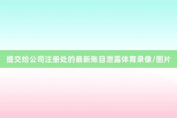 提交给公司注册处的最新账目泄露体育录像/图片