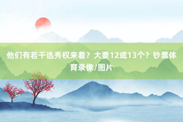 他们有若干选秀权来着？大要12或13个？钞票体育录像/图片