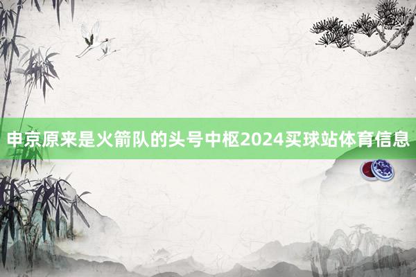申京原来是火箭队的头号中枢2024买球站体育信息
